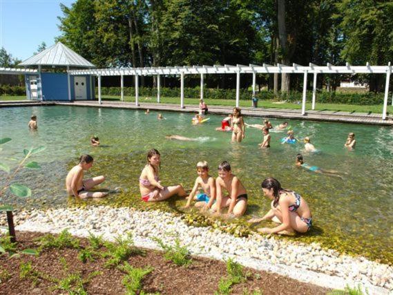 Ferienhaus Chalet Blockhaus Bayern Stamsried المظهر الخارجي الصورة